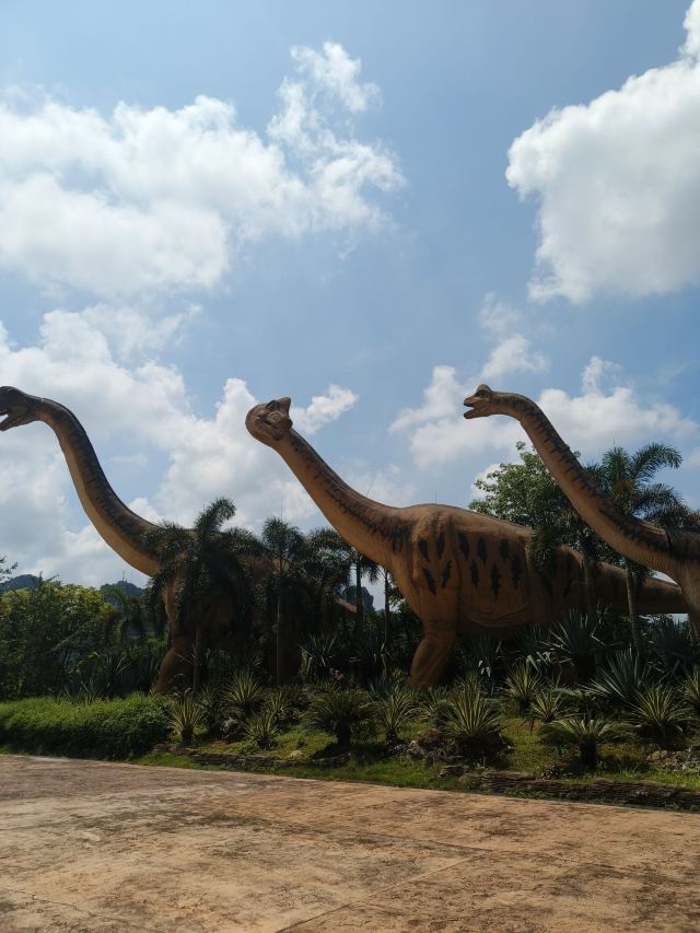 龙谷湾旅游休闲度假区旅行图片 2