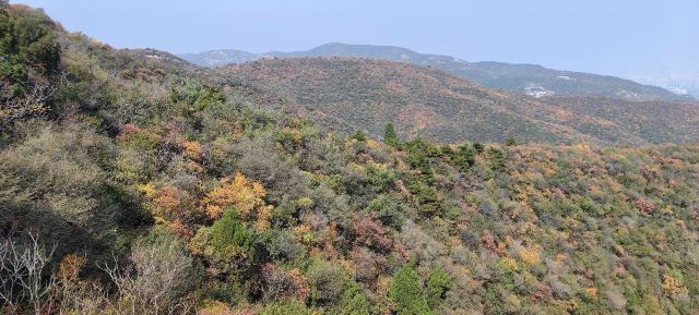 太原龙山景区旅行图片 4