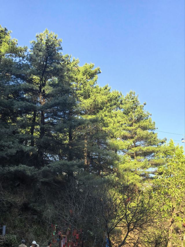 大理苍山世界地质公园旅行图片 3
