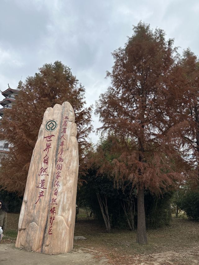 中华麋鹿园旅行图片 2