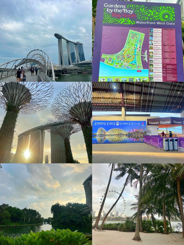 新加坡新加坡滨海湾花园游玩攻略简介,新加坡新加坡滨海湾花园门票/地址/图片/开放时间/照片/门票价格【携程攻略】