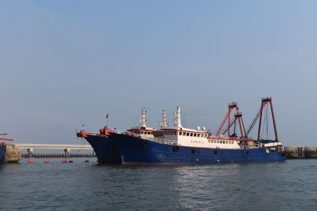 侨港海滩旅行图片 11