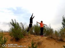 毛乌素沙漠-靖边-YoYo_7J4L4T1V