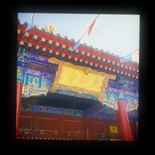 广仁寺旅行图片 6