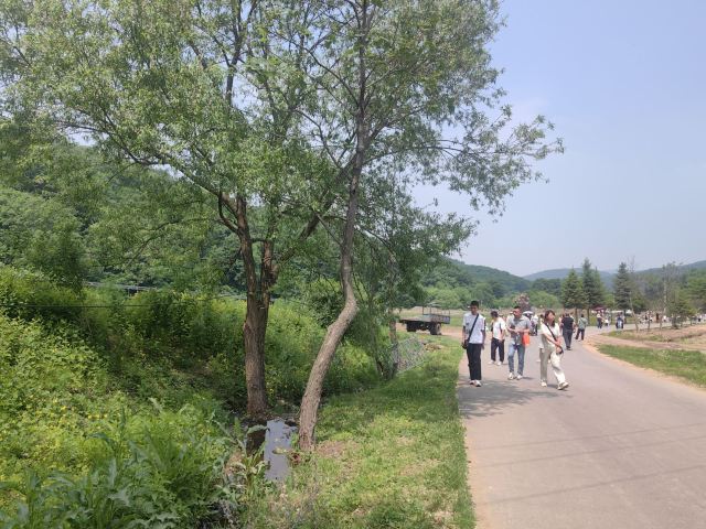 鸡冠山国家森林公园旅行图片 2