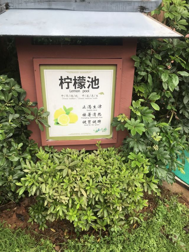 三百山温泉度假公园旅行图片 4