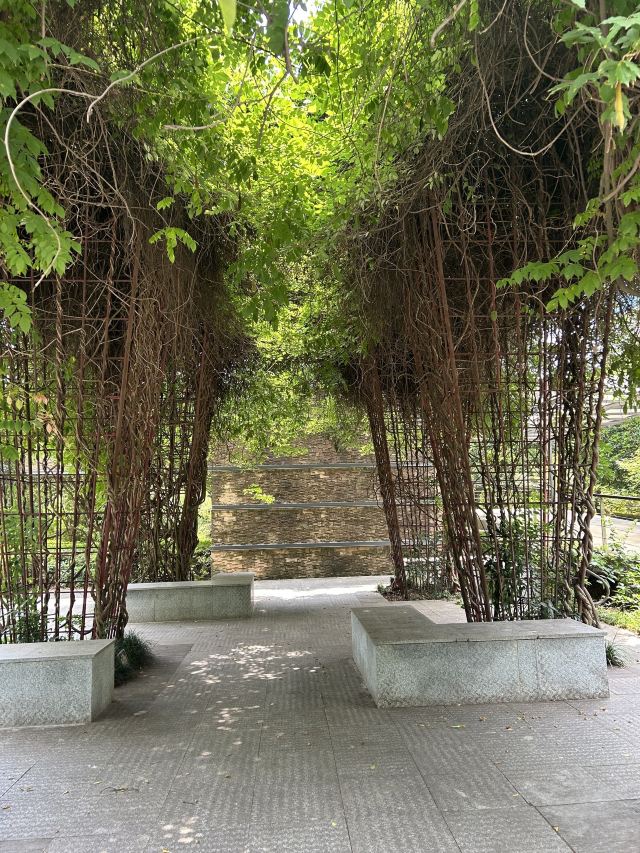 湘府文化公园旅行图片 9
