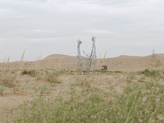 沙漠雕塑公园旅行图片 10