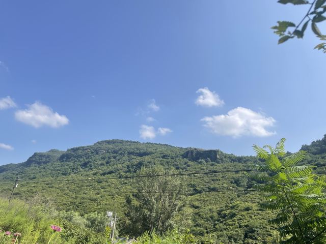 人参谷森林公园旅行图片 6
