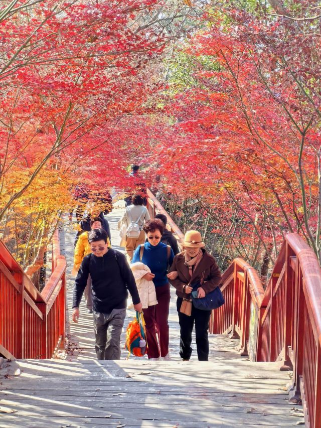 栖霞禅寺牌坊旅行图片 2