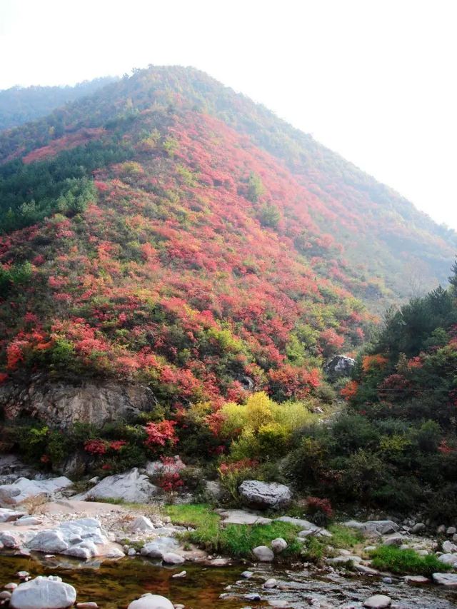 秦岭风景区旅行图片 2
