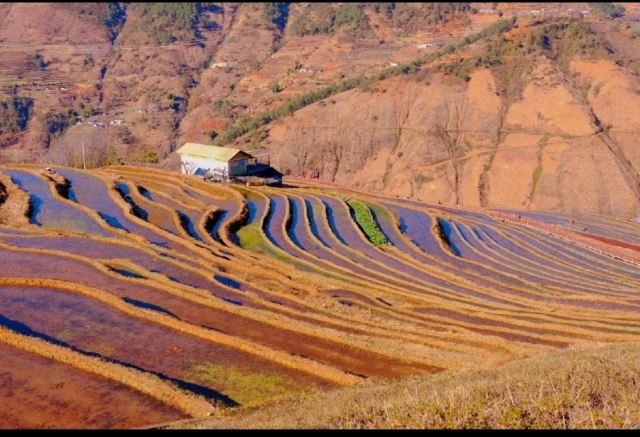 新山梯田旅行图片 1
