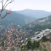 正通过高标准、数据化的服务流程