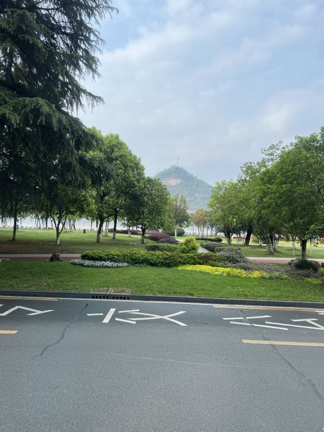 磨基山森林公园旅行图片 3