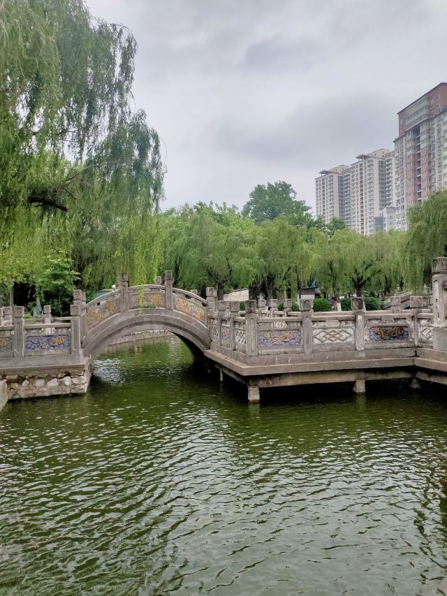 古渡公园旅行图片 10