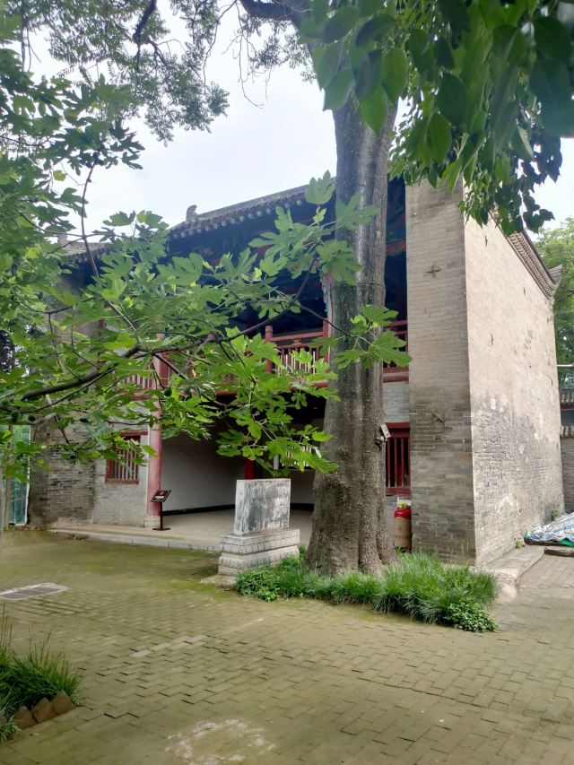 咸阳·老街旅行图片 3