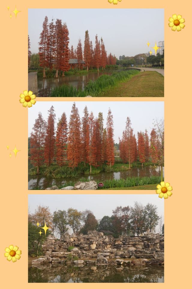 雍湖公园旅行图片 1