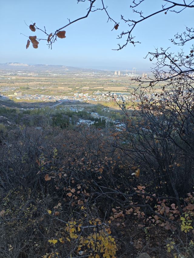 崛围山旅行图片 4