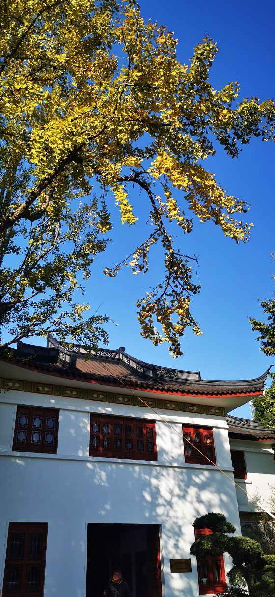 漕溪公园旅行图片 1