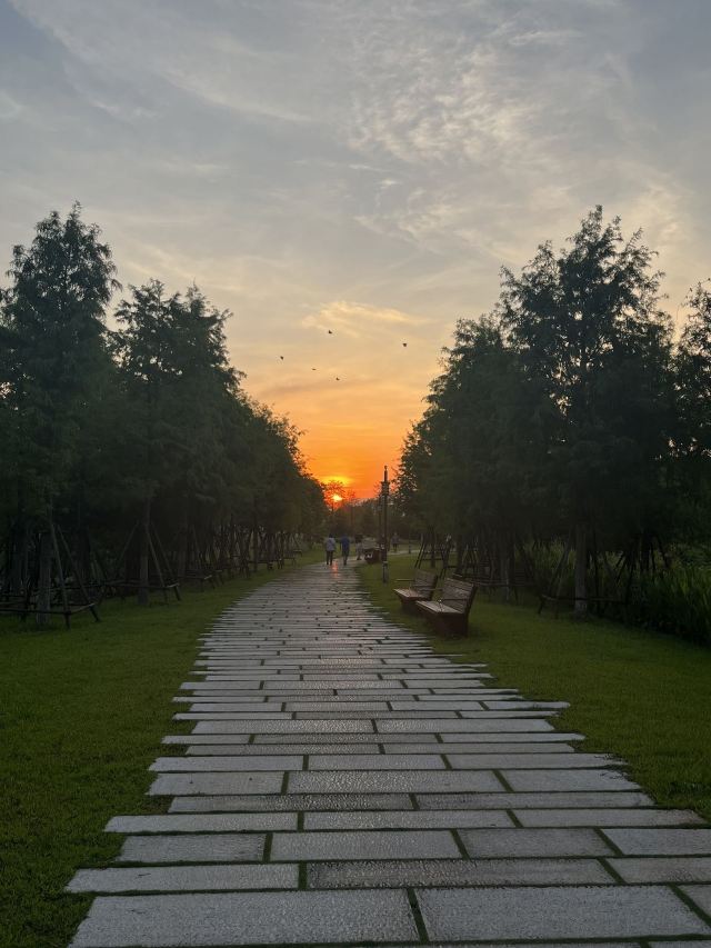 马銮湾双溪湿地公园旅行图片 8