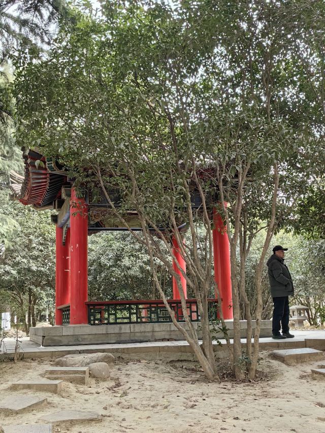 西安市纺织公园旅行图片 2