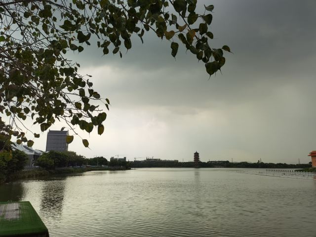 华阳湖国家湿地公园旅行图片 4