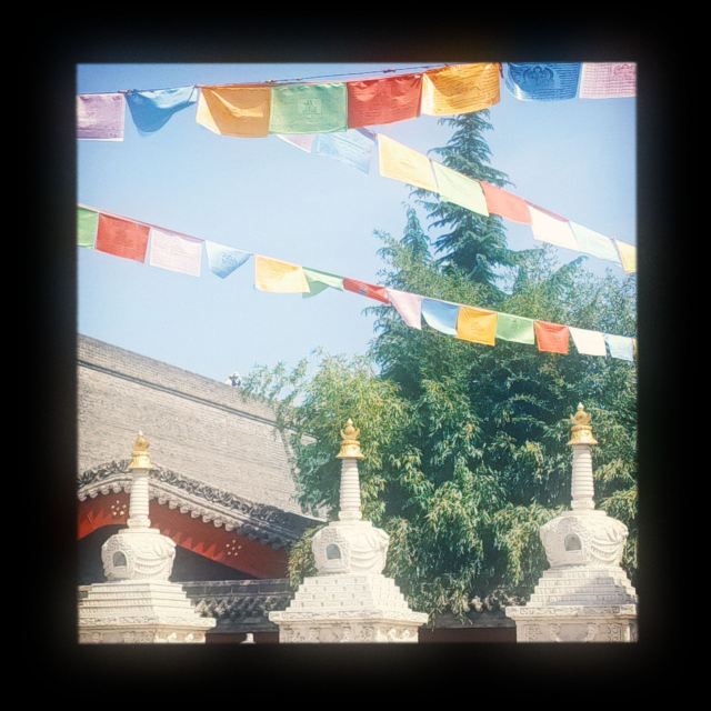 广仁寺旅行图片 1