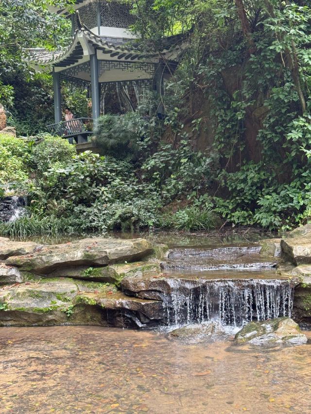 白云山风景名胜区旅行图片 3