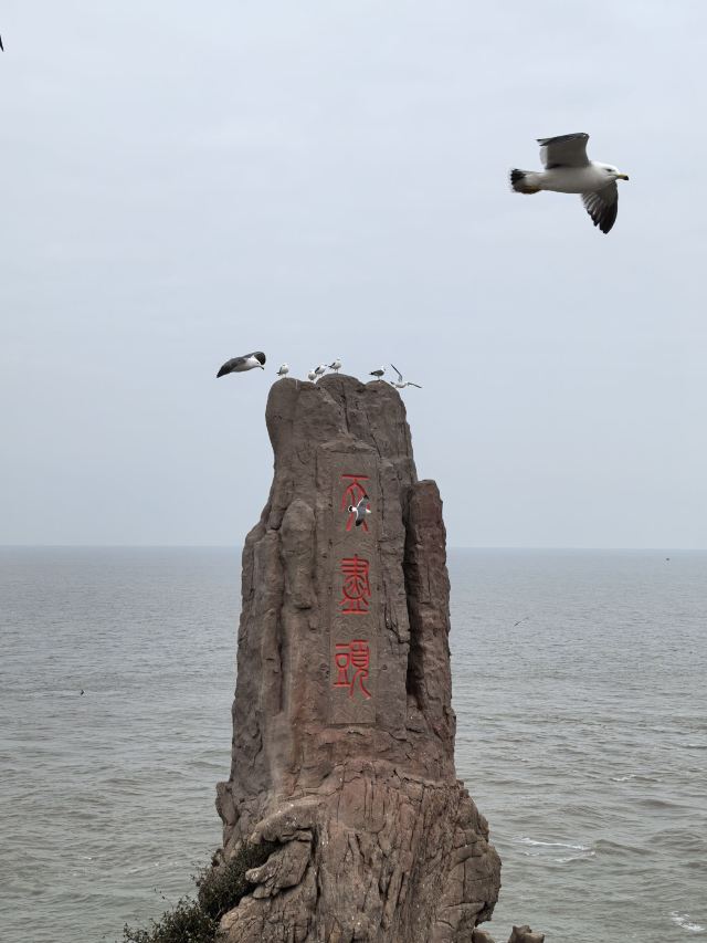 成山头国家重点风景名胜区旅行图片 1