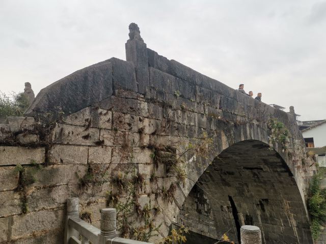 大圩古镇旅行图片 3