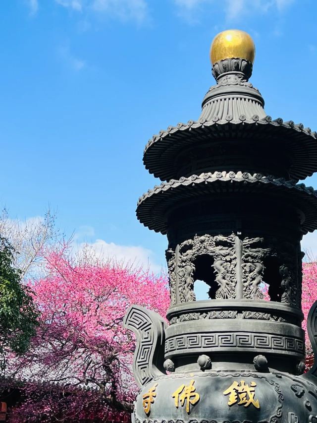 湖州铁佛寺旅行图片 2