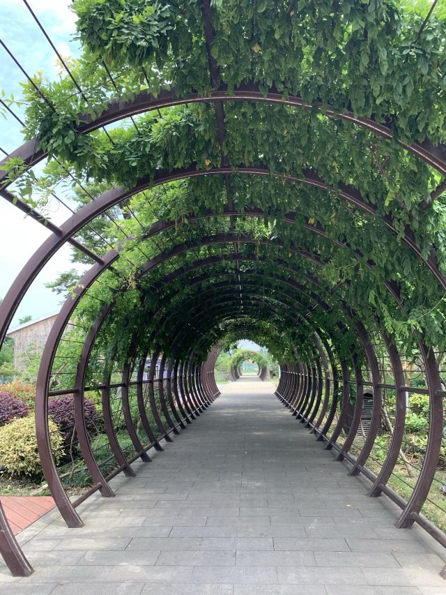 上海吕巷水果公园旅行图片 3