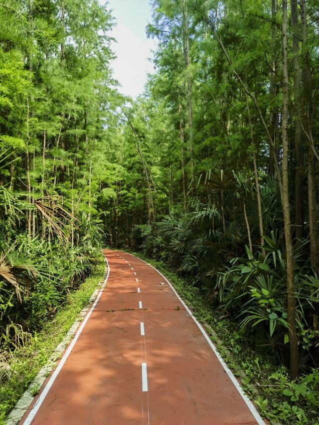 自然卷卷牧野旅行图片 2