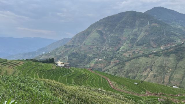 新山梯田旅行图片 3
