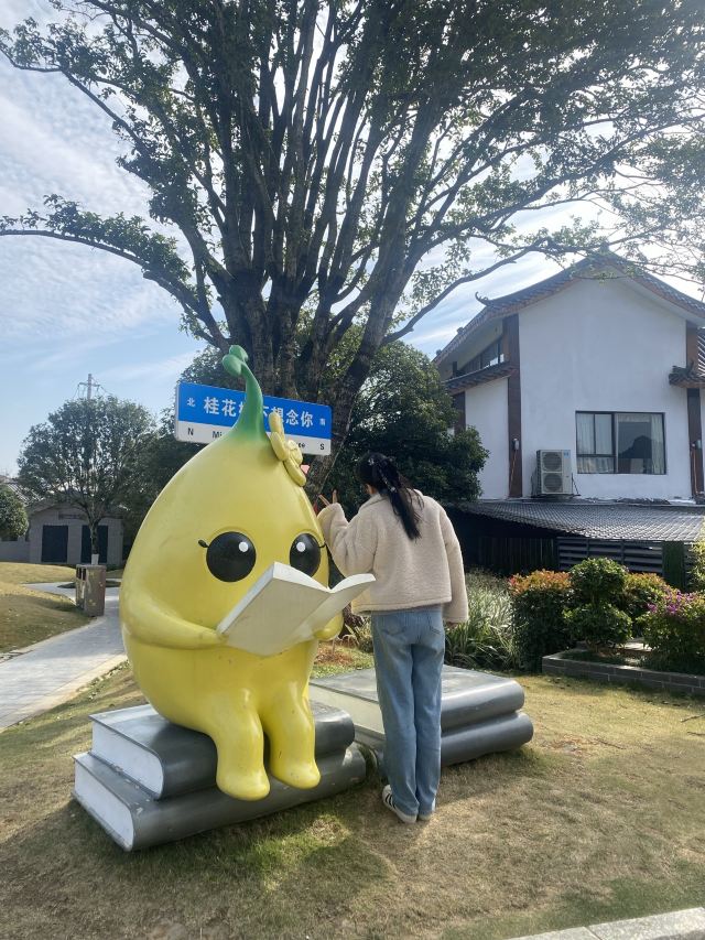 桂花公社景区旅行图片 3