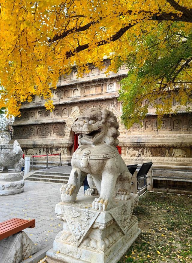 真觉寺旅行图片 1