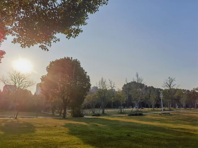 上海大宁公园旅行图片 1