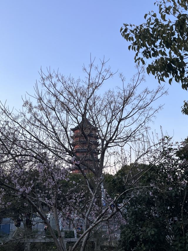 报恩寺旅行图片 2
