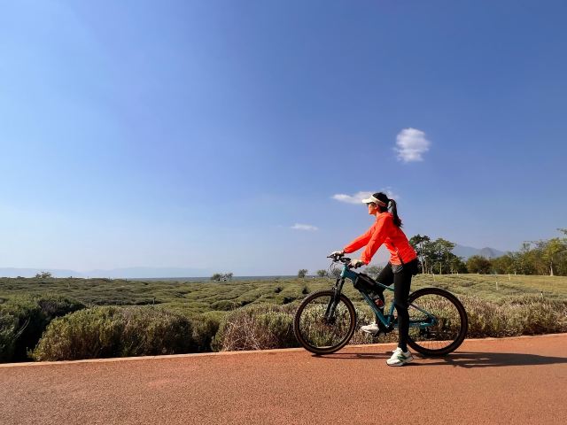 广龙抚海湾湿地公园旅行图片 1