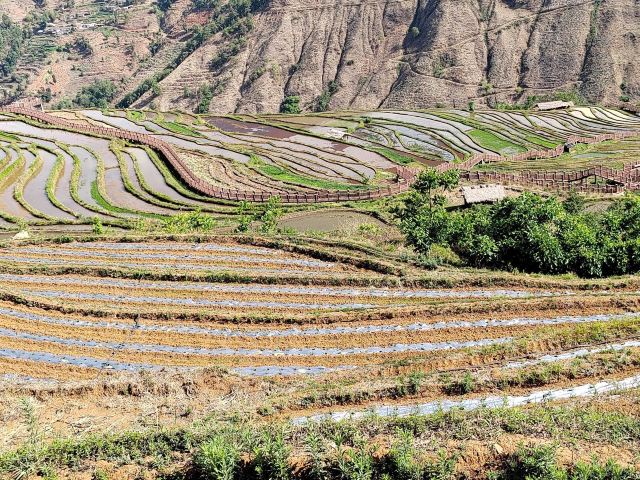 新山梯田旅行图片 2
