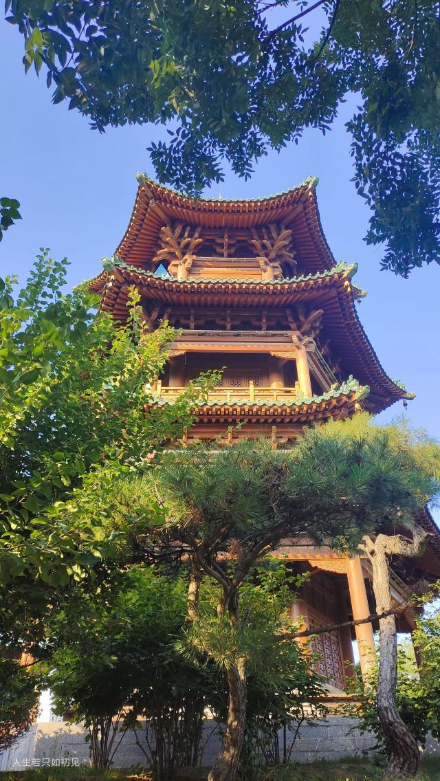 迎泽公园旅行图片 1