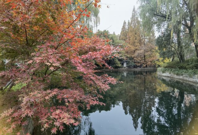 闸北公园旅行图片 4