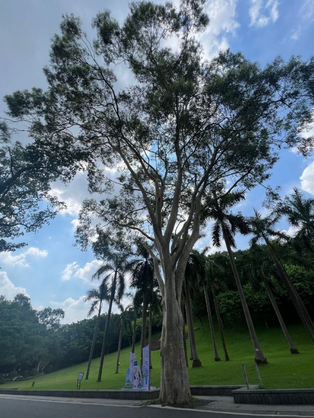 白云山风景名胜区旅行图片 1