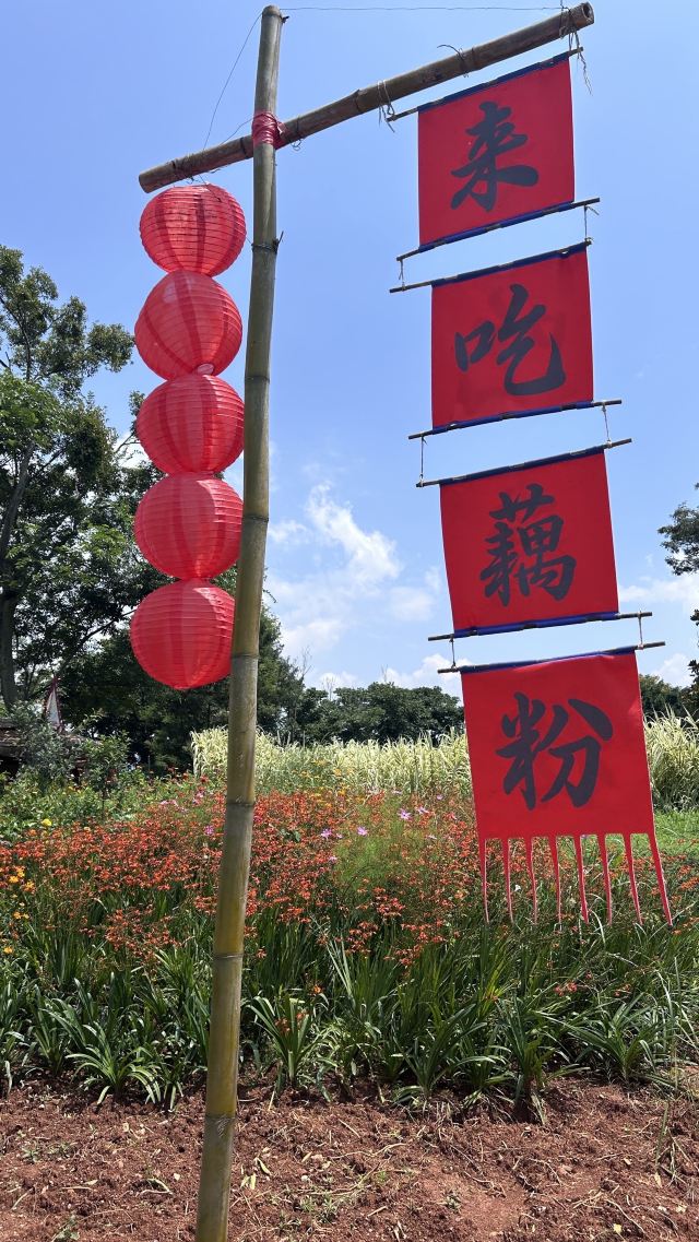 广龙抚海湾湿地公园旅行图片 5