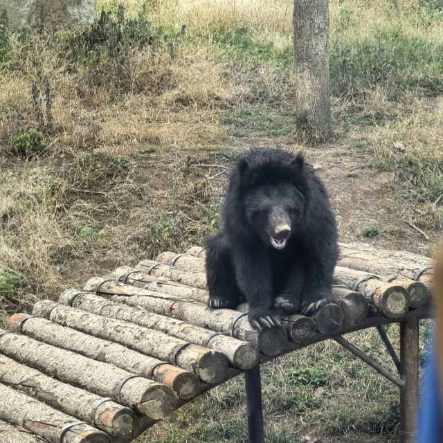 秦岭风景区旅行图片 6
