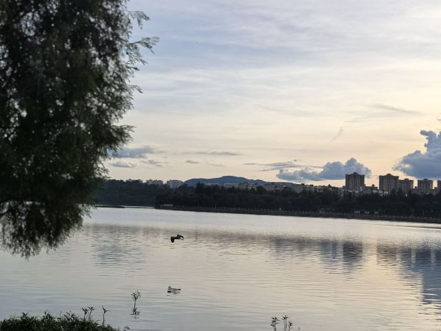 宁湖公园旅行图片 4