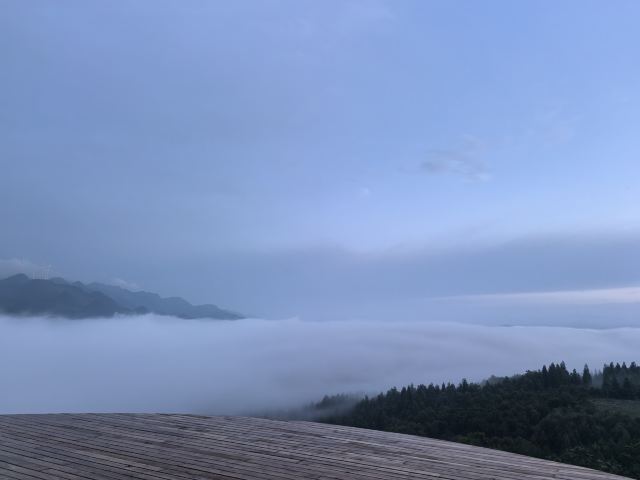 水城国家杜鹃公园旅行图片 5