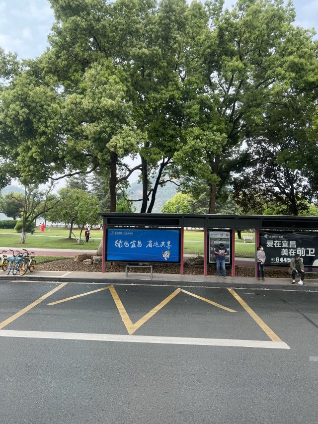 磨基山森林公园旅行图片 1