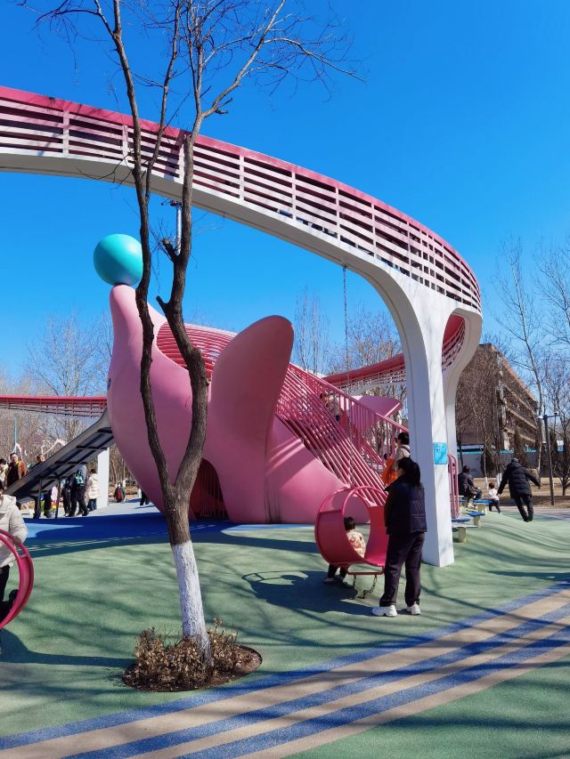 张店儿童公园旅行图片 12