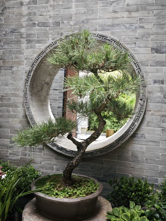 天水古城旅行图片 2